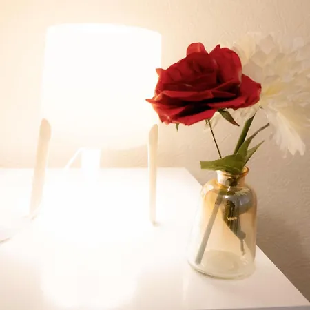 Large & Homely House Near City Centre, Sleeps 5 ! Birmingham